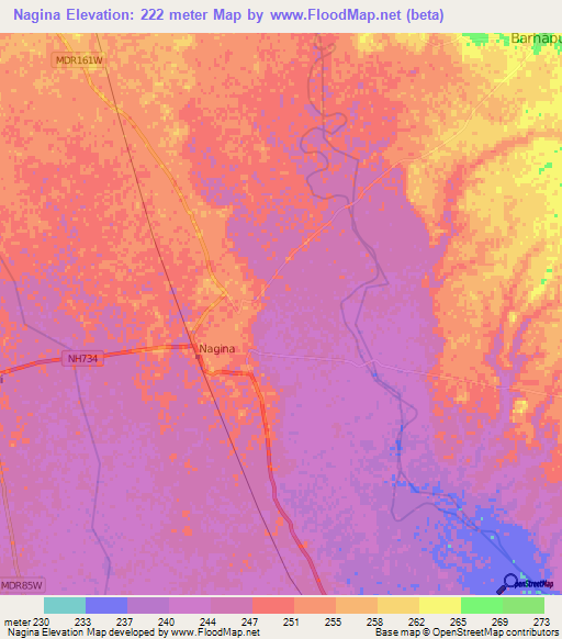 Nagina,India Elevation Map