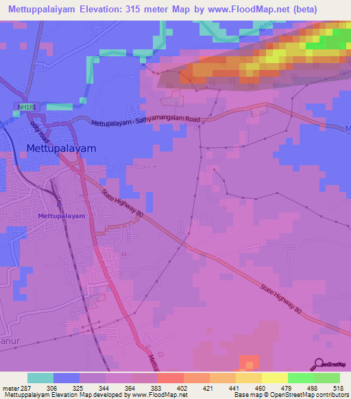 Mettuppalaiyam,India Elevation Map