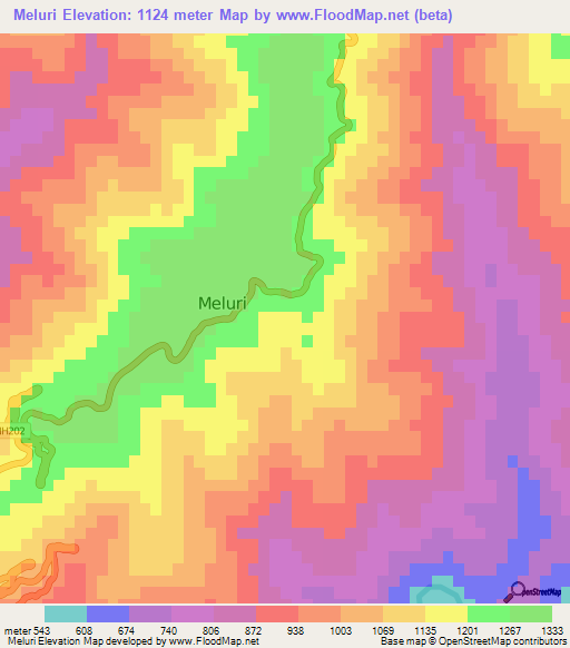 Meluri,India Elevation Map
