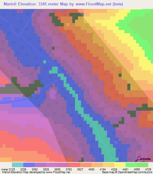Martoli,India Elevation Map