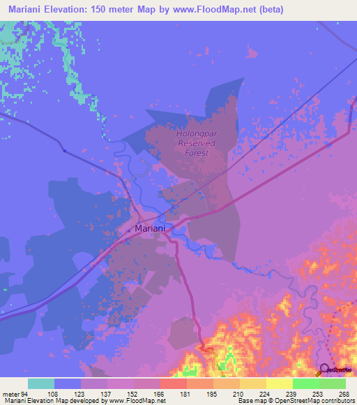 Mariani,India Elevation Map