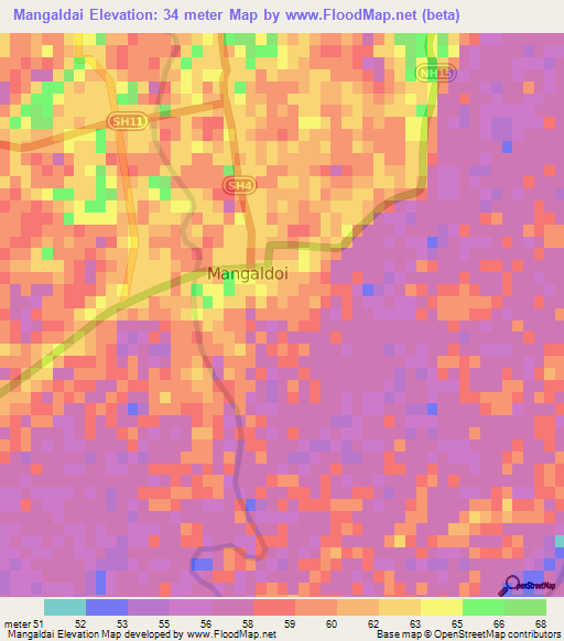 Mangaldai,India Elevation Map