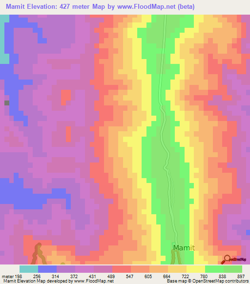 Mamit,India Elevation Map