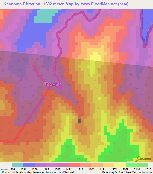 Khonoma,India Elevation Map