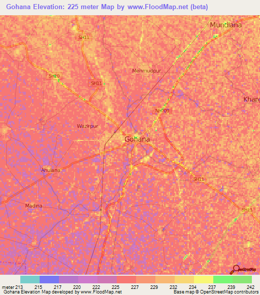 Gohana,India Elevation Map