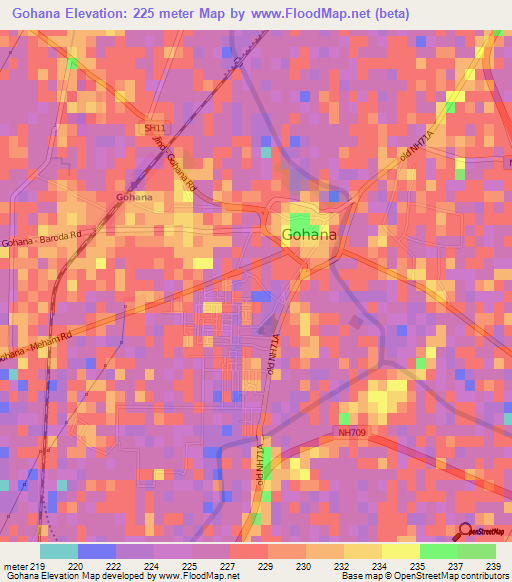Gohana,India Elevation Map