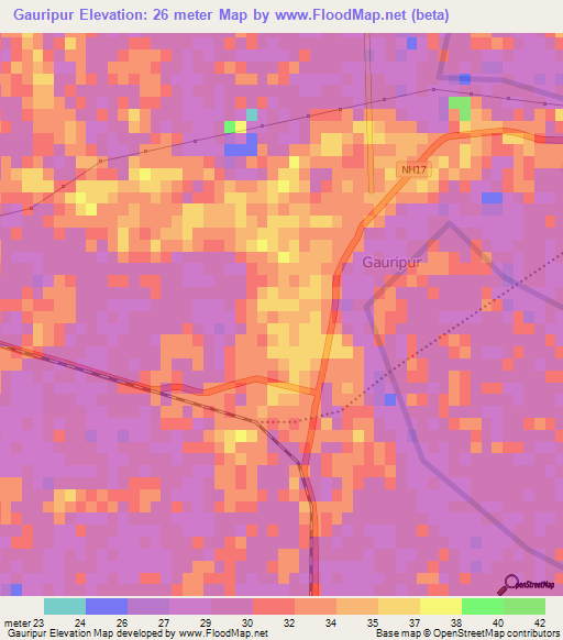 Gauripur,India Elevation Map