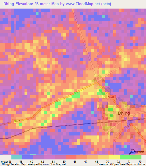 Dhing,India Elevation Map
