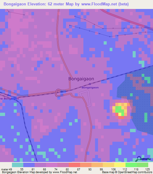 Bongaigaon,India Elevation Map