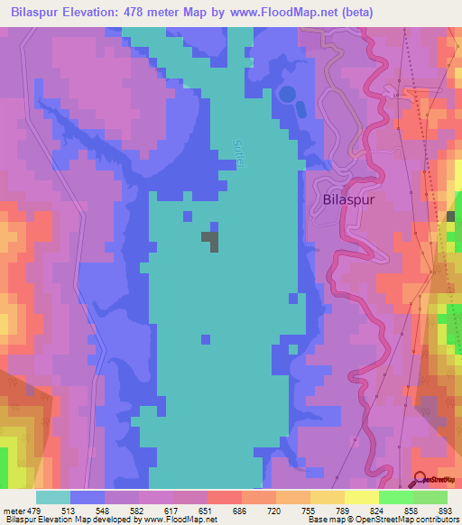 Bilaspur,India Elevation Map