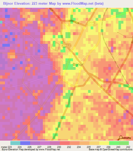 Bijnor,India Elevation Map