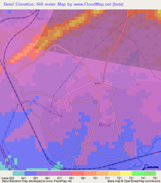Betul,India Elevation Map