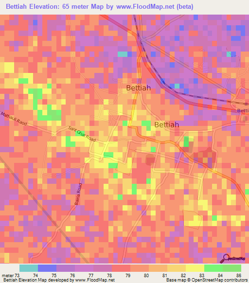 Bettiah,India Elevation Map
