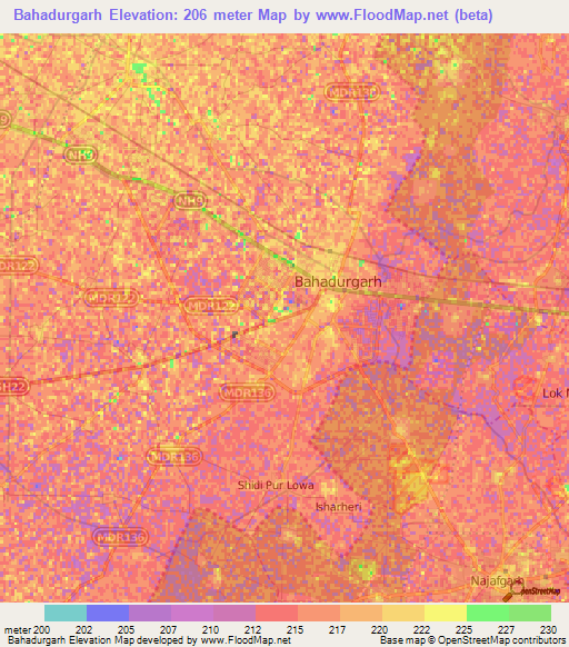 Bahadurgarh,India Elevation Map