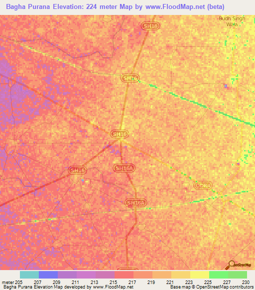 Bagha Purana,India Elevation Map