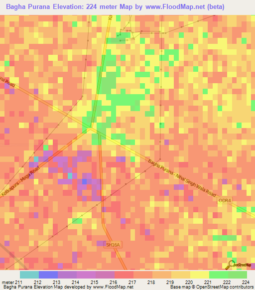 Bagha Purana,India Elevation Map