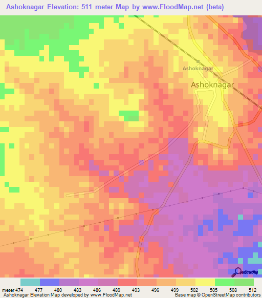 Ashoknagar,India Elevation Map