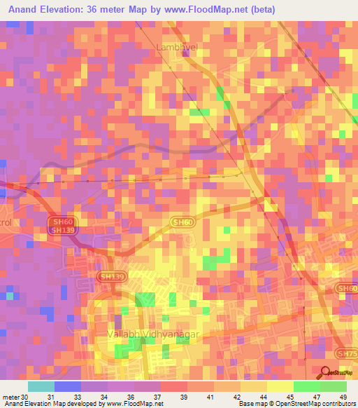 Anand,India Elevation Map