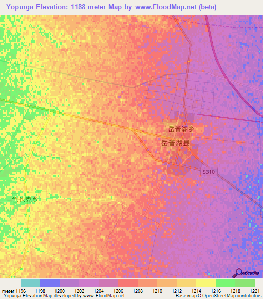 Yopurga,China Elevation Map
