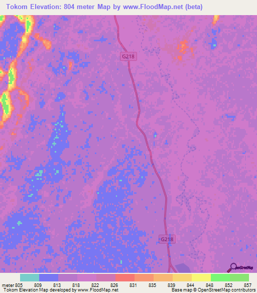 Tokom,China Elevation Map
