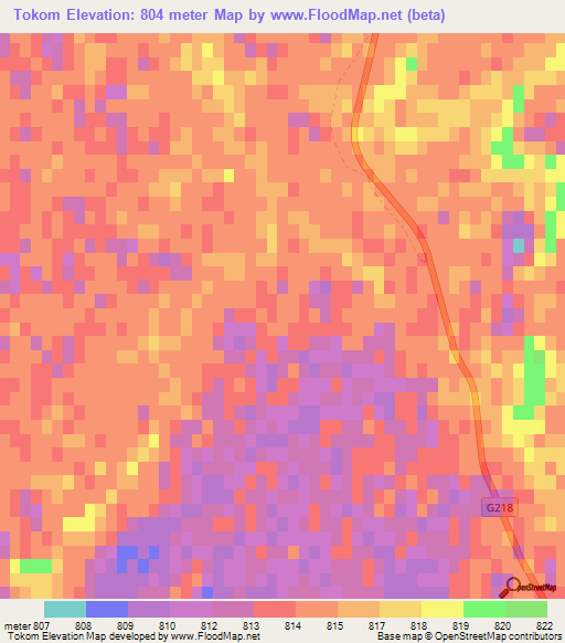 Tokom,China Elevation Map