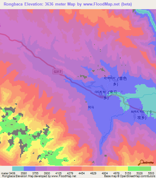 Rongbaca,China Elevation Map