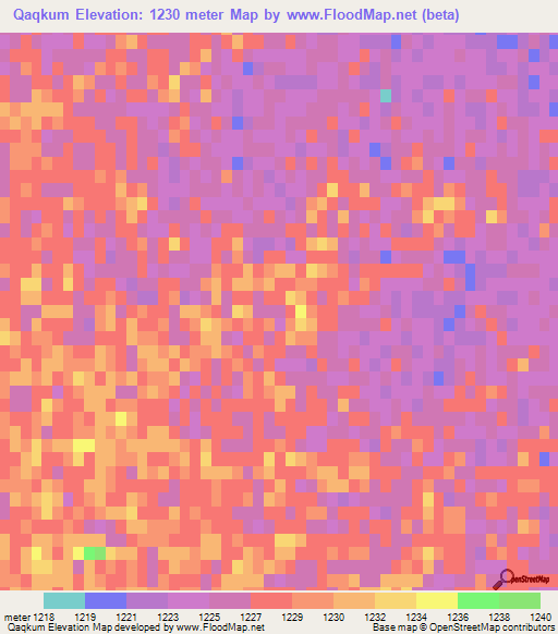 Qaqkum,China Elevation Map
