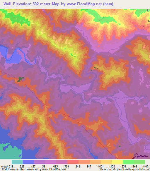 Wali,Nepal Elevation Map
