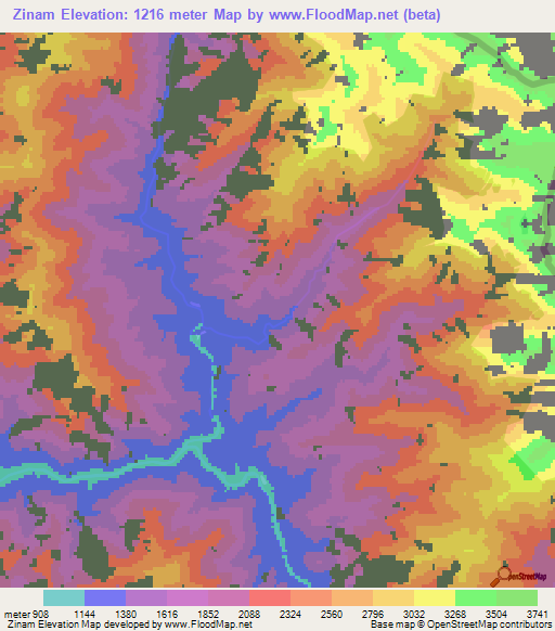 Zinam,Myanmar Elevation Map
