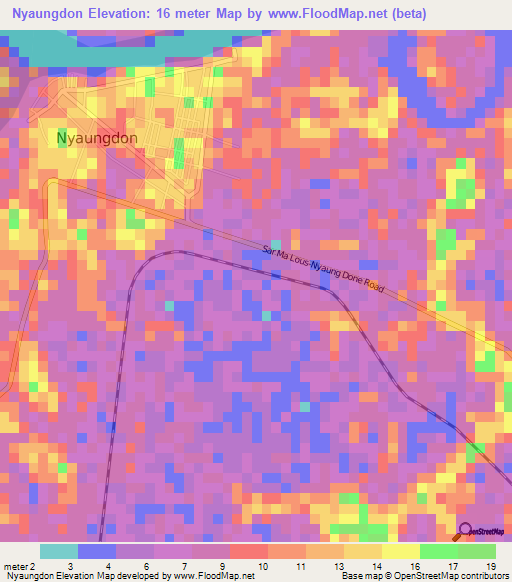 Nyaungdon,Myanmar Elevation Map