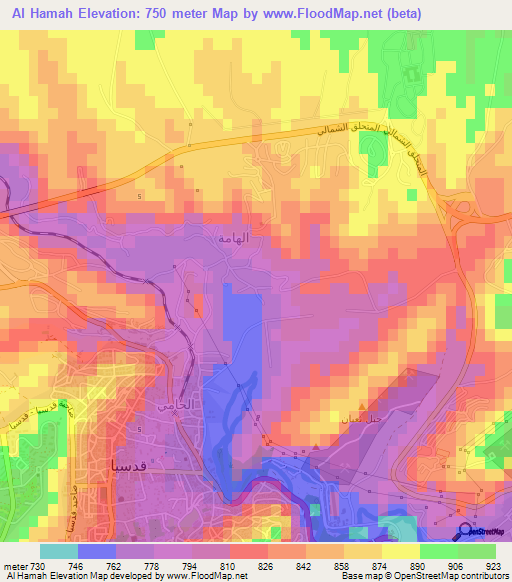 Al Hamah,Syria Elevation Map
