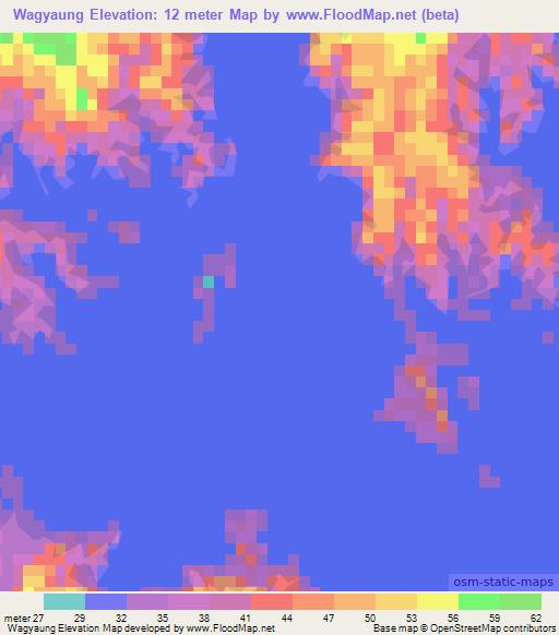 Wagyaung,Myanmar Elevation Map