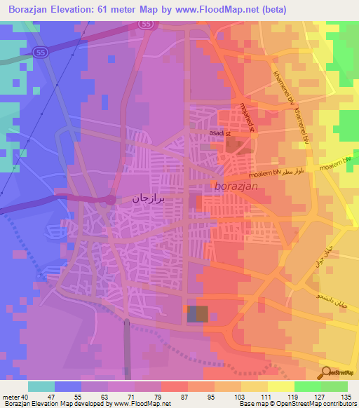 Borazjan,Iran Elevation Map