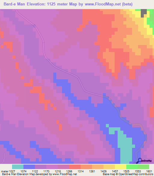 Bard-e Man,Iran Elevation Map