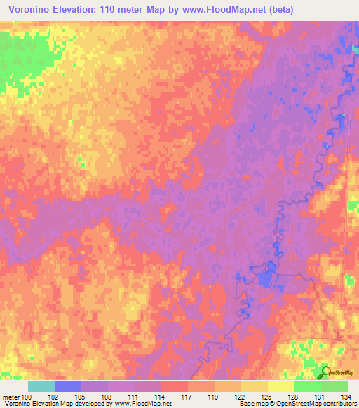 Voronino,Russia Elevation Map