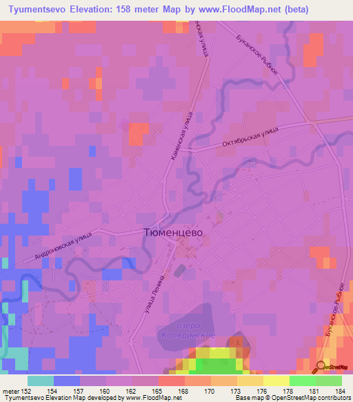 Tyumentsevo,Russia Elevation Map