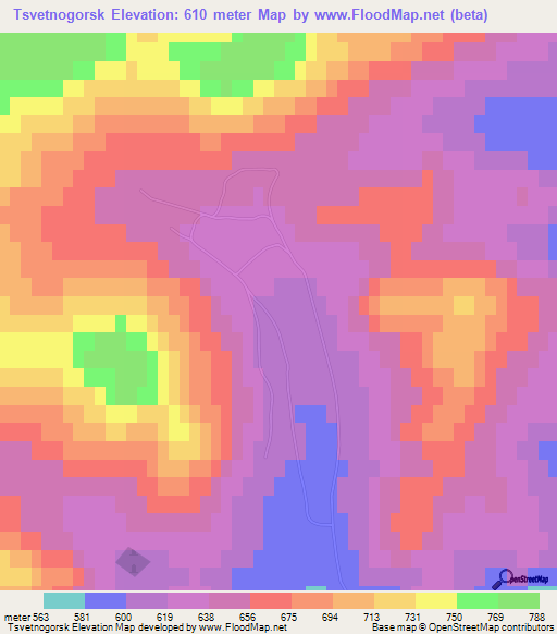 Tsvetnogorsk,Russia Elevation Map