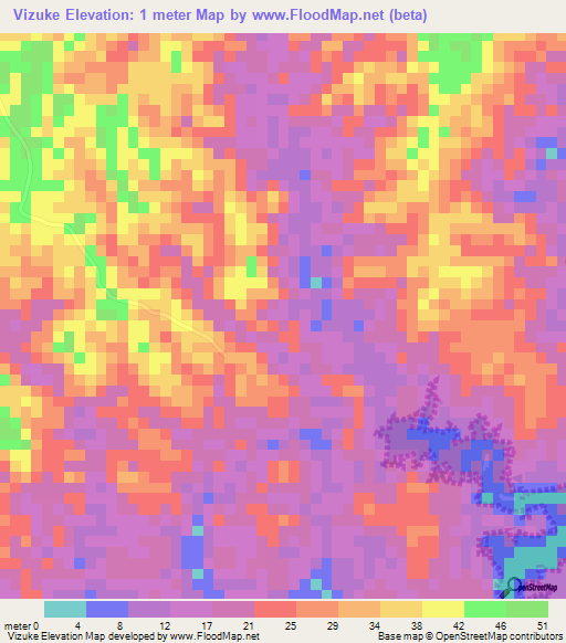 Vizuke,Tanzania Elevation Map