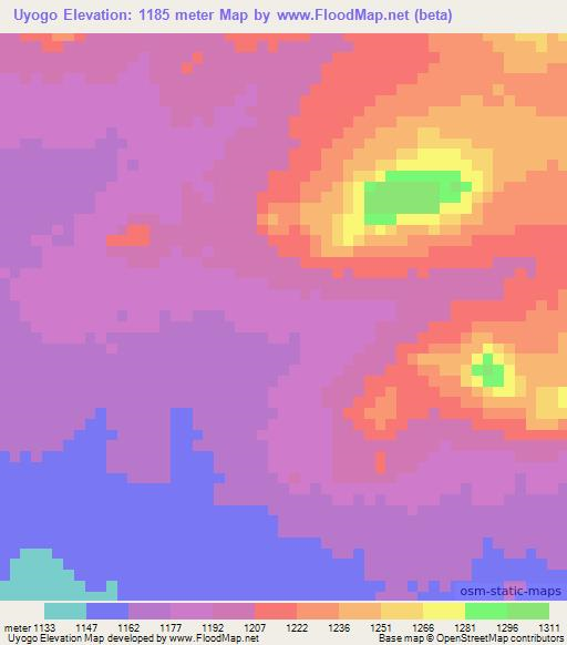 Uyogo,Tanzania Elevation Map