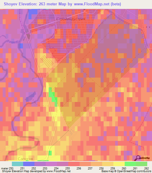 Shoyev,Russia Elevation Map