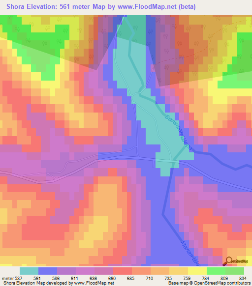 Shora,Russia Elevation Map