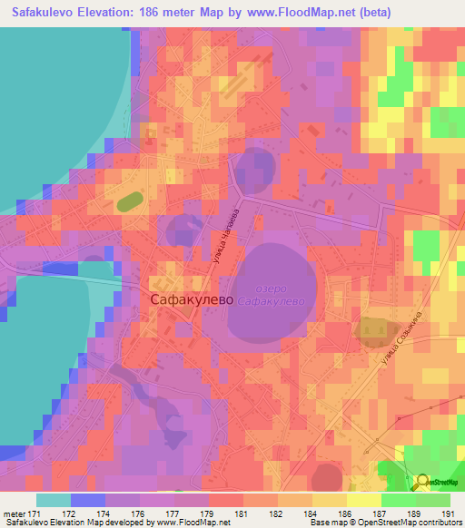 Safakulevo,Russia Elevation Map