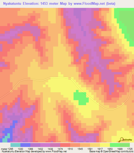Nyakatuntu,Tanzania Elevation Map