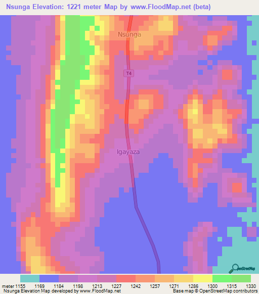 Nsunga,Tanzania Elevation Map