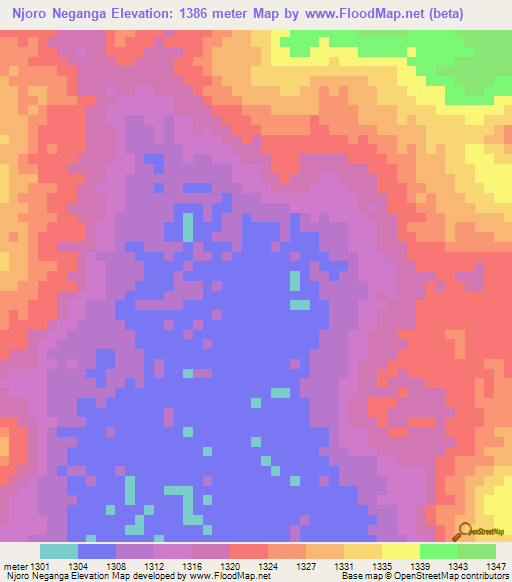 Njoro Neganga,Tanzania Elevation Map