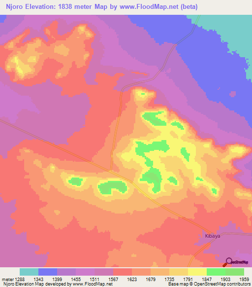 Njoro,Tanzania Elevation Map