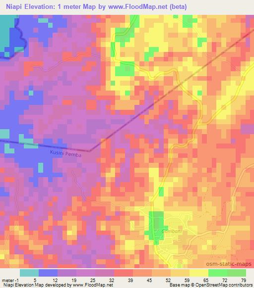 Niapi,Tanzania Elevation Map