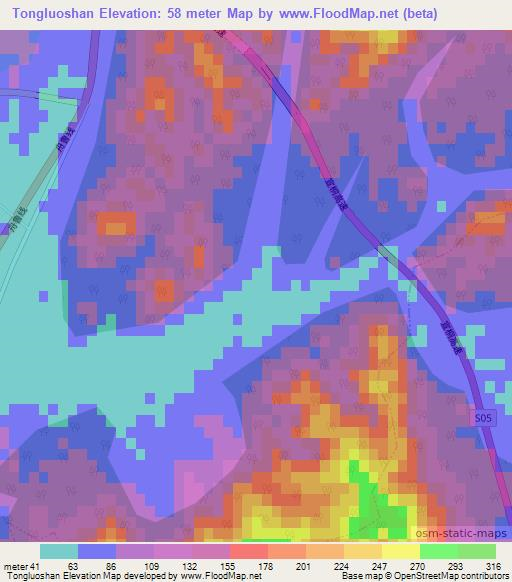 Tongluoshan,China Elevation Map