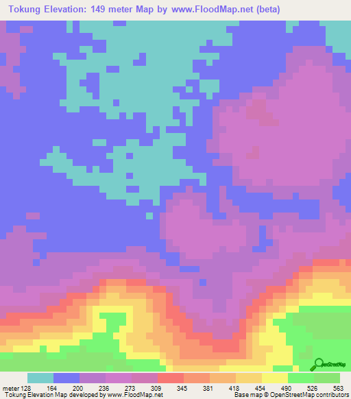 Tokung,Indonesia Elevation Map