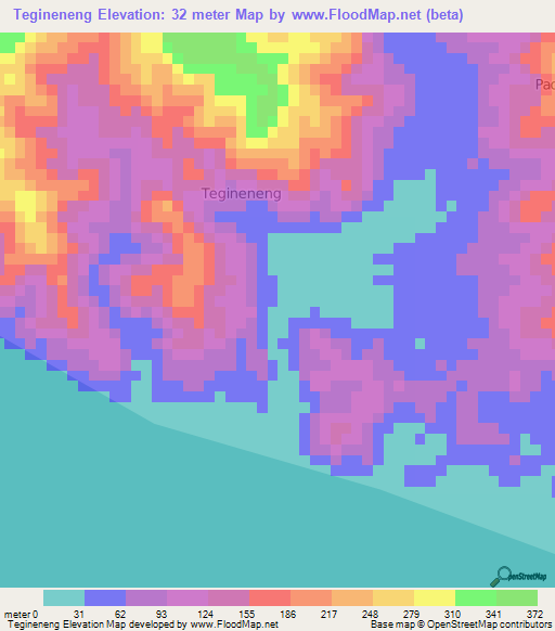 Tegineneng,Indonesia Elevation Map